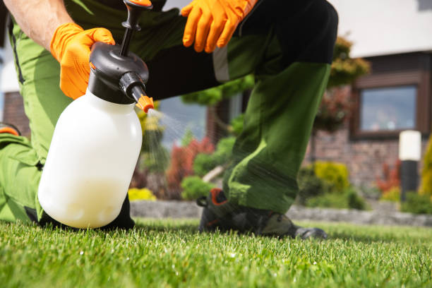 Best Exterminator Services  in Hebron, OH