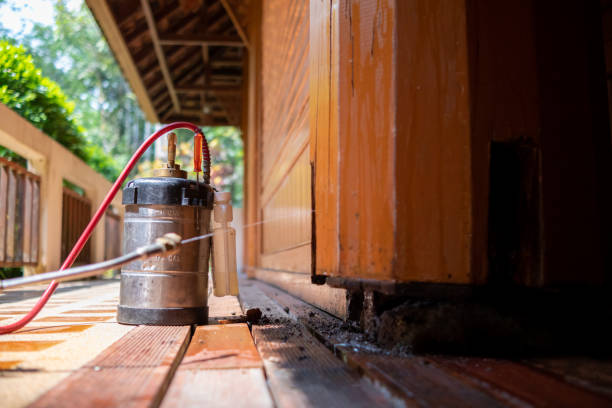Best Pest Prevention Services  in Hebron, OH