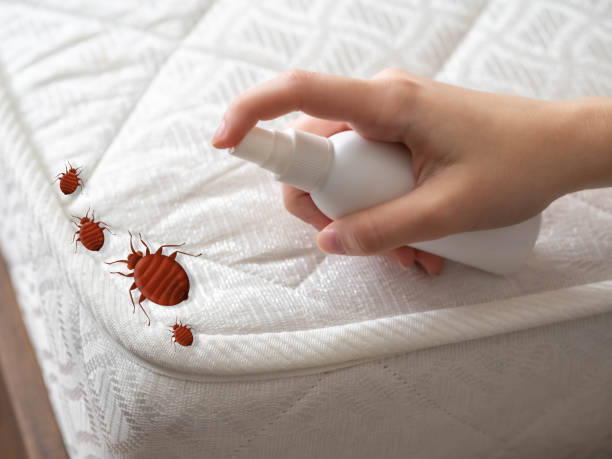 Best Insect Control  in Hebron, OH
