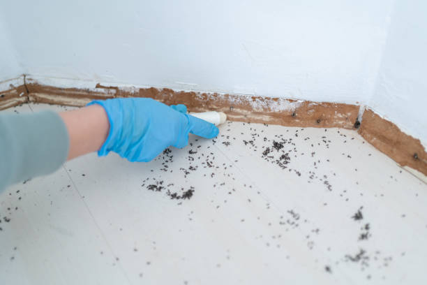 Best Emergency Pest Control  in Hebron, OH