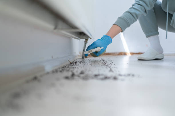 Best Wildlife Control Services  in Hebron, OH